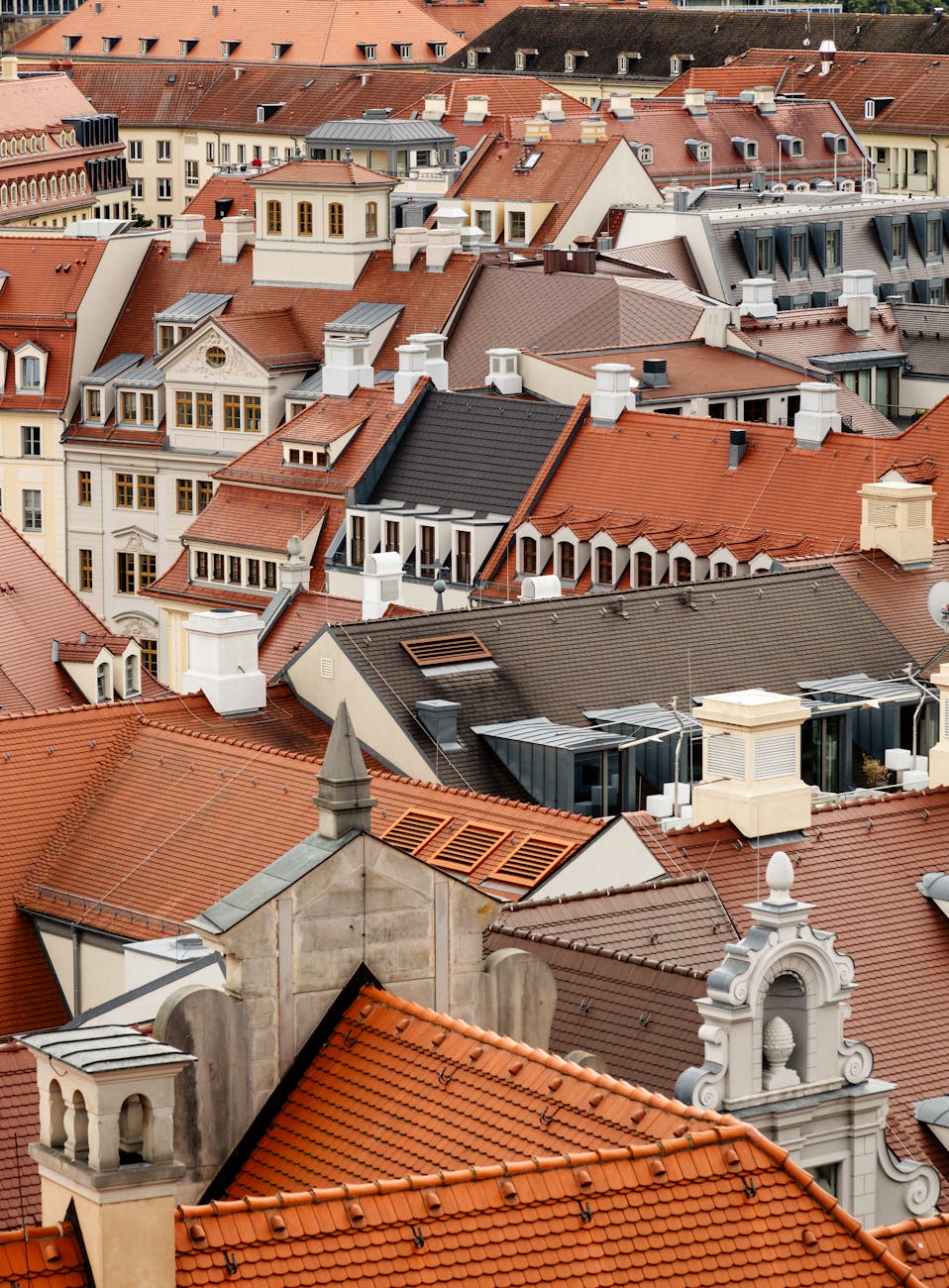 Dachbegrünung: Sedum, Aufbau & Kosten