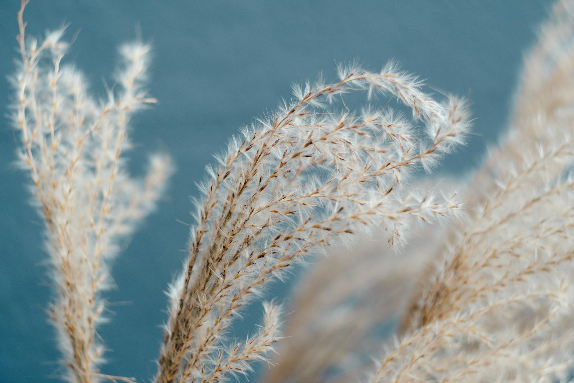 gartendesign — Japanischer Garten: Reduktion und Symbolik