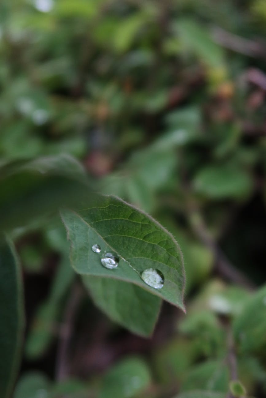 gartendesign — Gartenstil finden: So gehst du vor