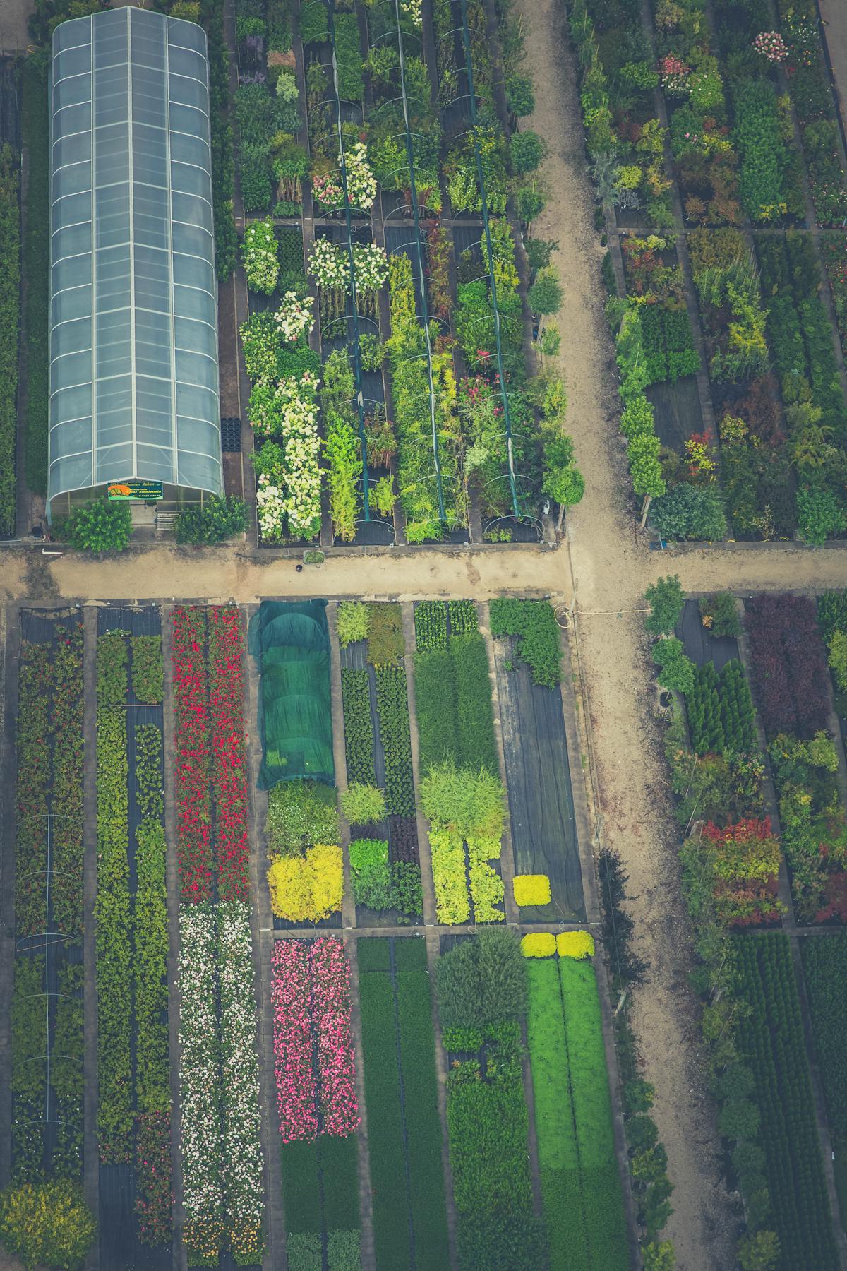 Gartenplanung — vielfältige Bepflanzung mit Blumenbeeten