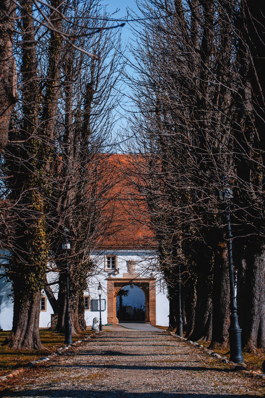 Gartenweg anlegen: Materialien & Gestaltung