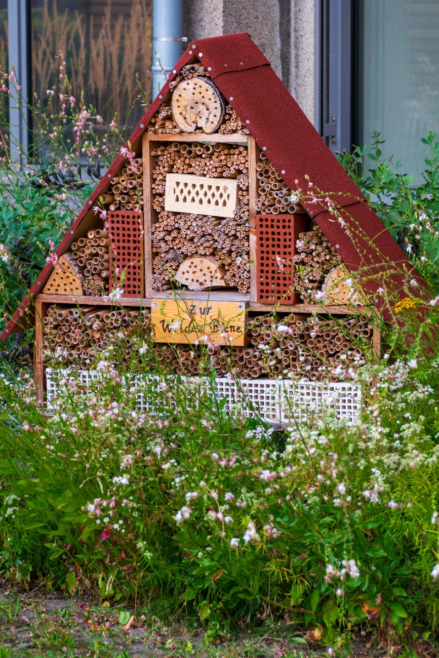 insektenhotel — Welche Insekten nutzen ein Insektenhotel?