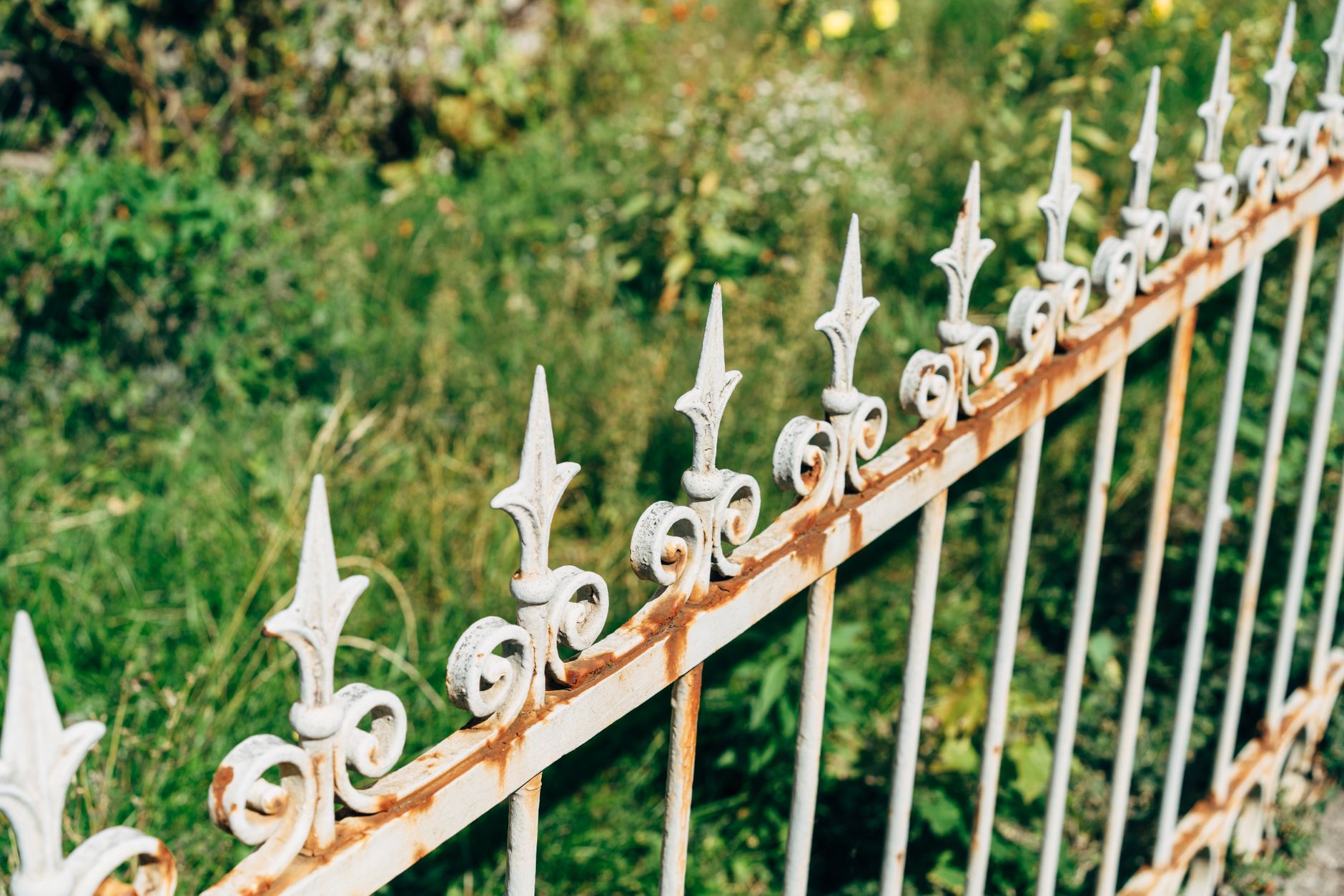 Abstand von Hecke, Baum & Zaun zur Grundstücksgrenze (Österreich)